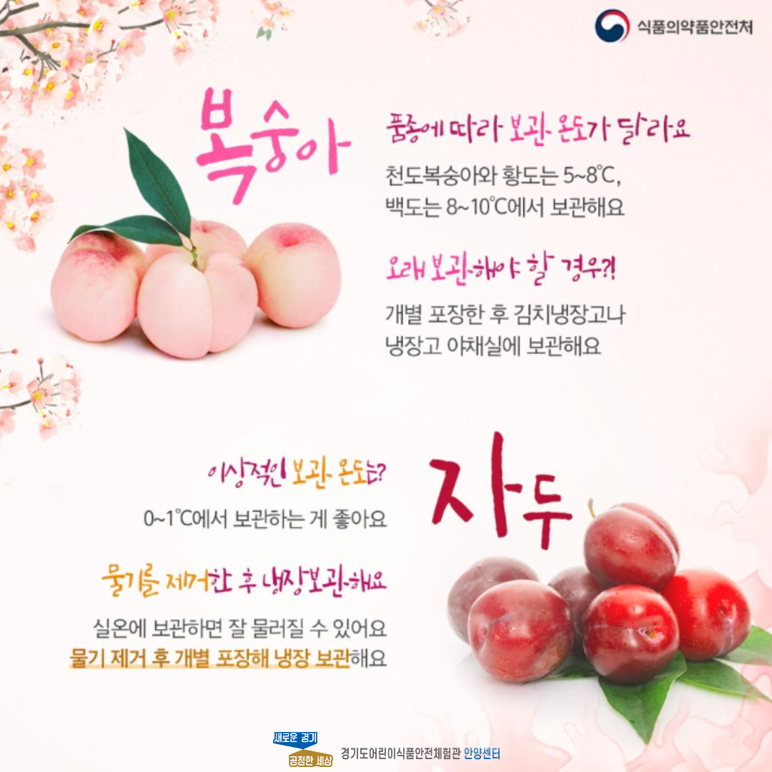 여름철 과일, 채소 보관법에 대한 설명 세번째 페이지 입니다.