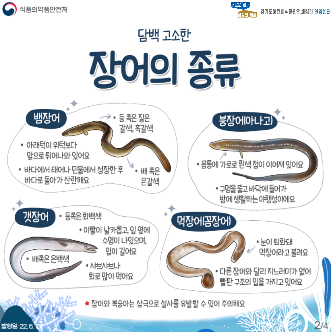 장어 설명 두번째 페이지 입니다.