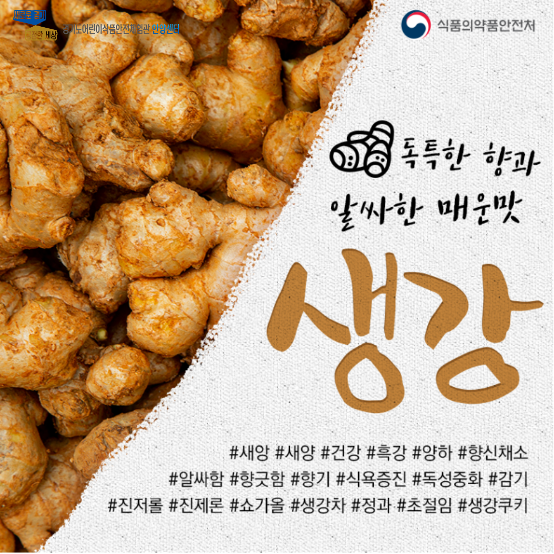 생강은 독특한 향과 알싸한 매운맛이 납니다. 생강에 대한 설명을 시작할 첫번째 페이지 입니다.