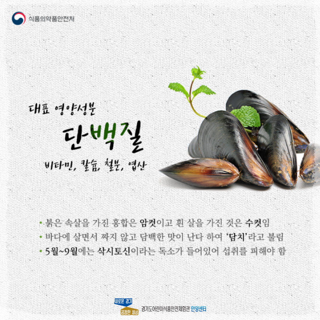 홍합의 대표 영양성분으로는 단백질, 비타민, 칼슘, 철분, 엽산이 있습니다.