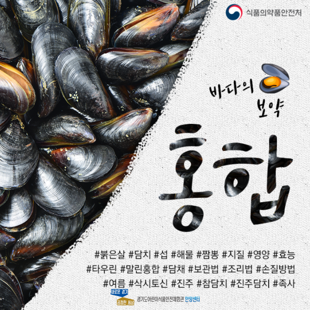 바다의 보약이라고 불리는 홍합 입니다. 홍합에 대한 설명을 시작할 첫번째 페이지 입니다.